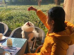 -野蔓果·山野菜(西湖景区·龙井茶田店)