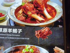 -和庆斋羊蝎子火锅·碳缸烧烤(顺义旗舰店)