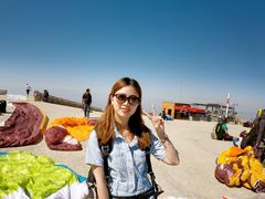 -费特希耶滑翔伞