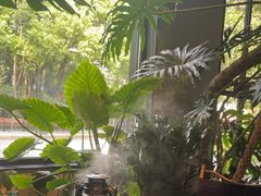 -J Create城市露营咖啡·简餐·宠物(上海动物园店)