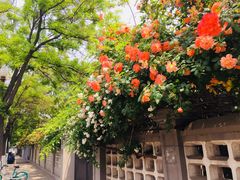 -天津五大道文化旅游区