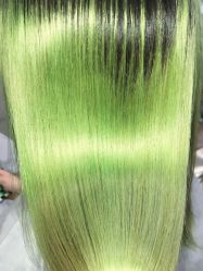 -SALON V