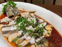 鲜花椒蒸桂花鲈-觅唐MITONG(鸟巢店)