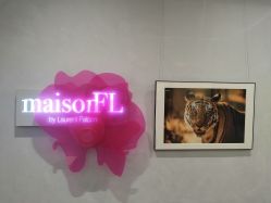 -MaisonFL·美颂法式专业美发艺术沙龙