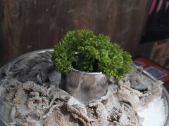 -萍姐火锅·公路夜市(打浦桥日月光店)