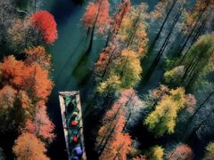 -合肥滨湖国家森林公园