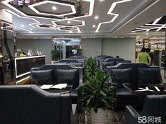 -金吉鸟健身游泳