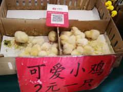 -兴芮温泉度假区