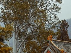 -潭柘寺景区