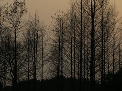 -湘湖金融镇
