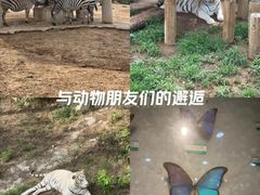-石家庄市动物园