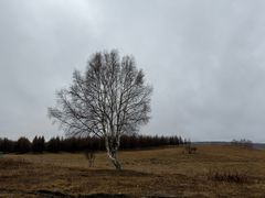 -塞罕坝国家级自然保护区