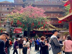-越秀西湖花市(广州城市广场花卉店)