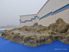 -秦皇岛乐岛海洋王国