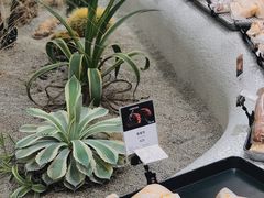 -OUR Bakery(SKP-S店)