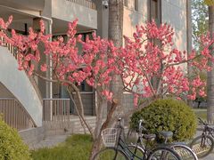 -中国石油大学（北京）(北京西校区)