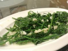 树菜-美极鲜食坊(宝安南路店)