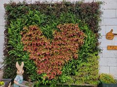 -华谊兄弟（长沙）电影小镇