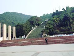 -铁山坪森林公园