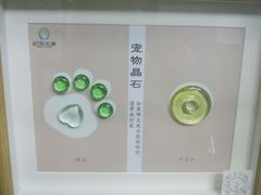 -立德动物医院·异宠·CT·鹦鹉(天河店)