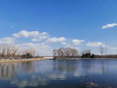 -大兴滨河森林公园