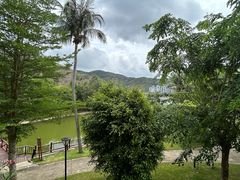 -三亚亚龙湾金棕榈度假酒店