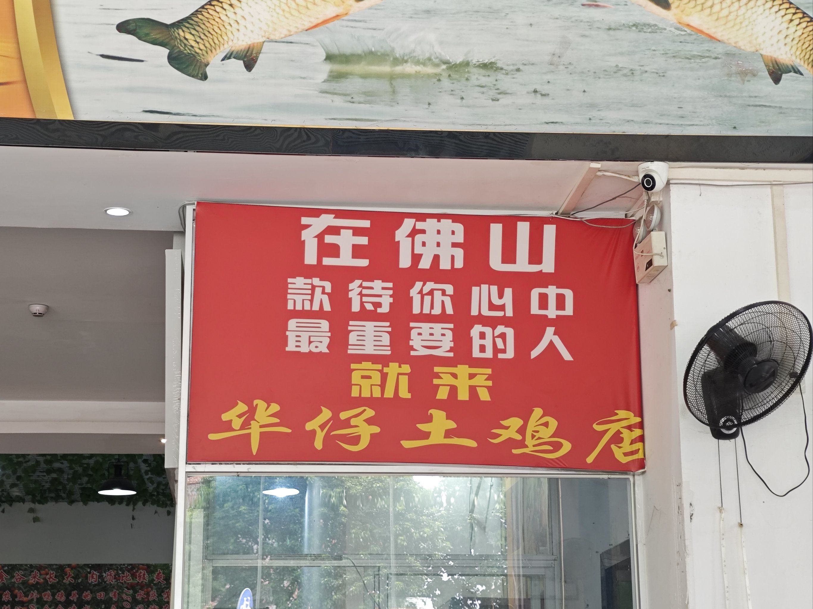 华仔土鸡店