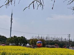 -嘉北郊野公园