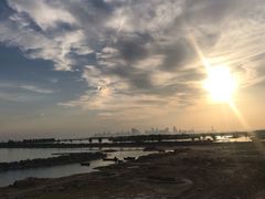 -合肥滨湖国家森林公园