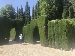 -阿尔罕布拉宫