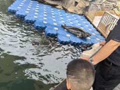 -华夏文旅海洋公园