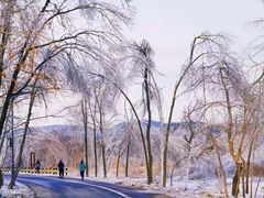 -北极村旅游风景区