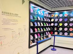 -山东省科技馆(新馆)