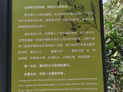 -云溪植物园