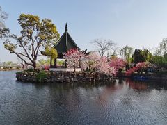 -无锡蠡湖国家湿地公园-蠡园