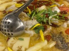 -花溪雨·森林餐厅(石基店)