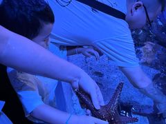 -成都浩海立方海洋公园