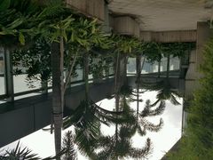android_upload_pic-深圳圣淘沙酒店(翡翠店)