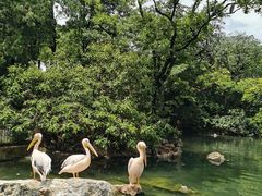 -昆明动物园
