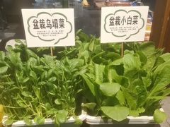 -三晋老田饸饹面(中大街店)