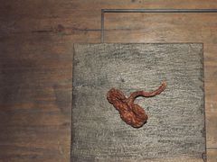 -元白和创园展厅