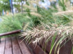 -杭州城北体育公园