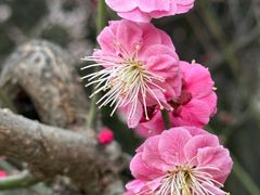 -木塔寺遗址生态公园