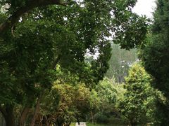 -国家植物园南园