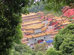 -东莞市大岭山森林公园