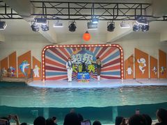 -南昌海洋公园