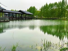 -渤公岛生态公园