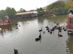 -无锡动物园·太湖欢乐园