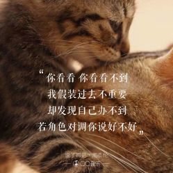 -京世沙龙