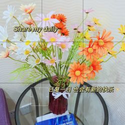 -SILKTONE诗丽堂美容